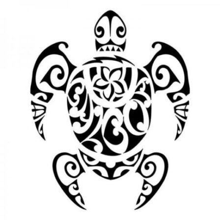 Tartaruga Maori: simboli, significato e descrizione