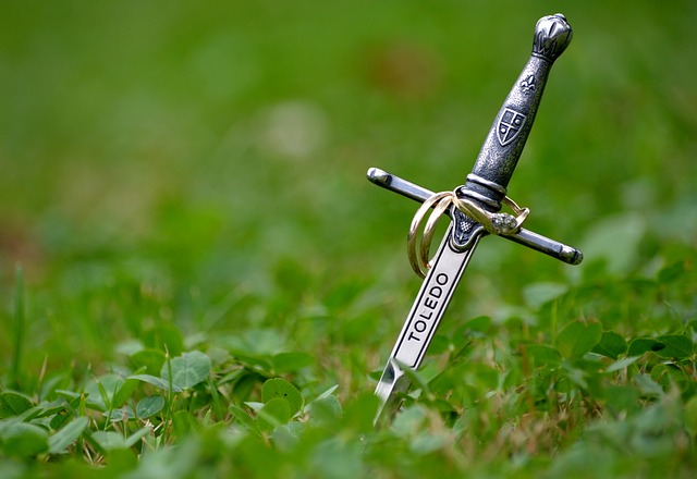 Impugnatura della spada: che elementi comprende l’elsa? Cosa vi si può incidere?
