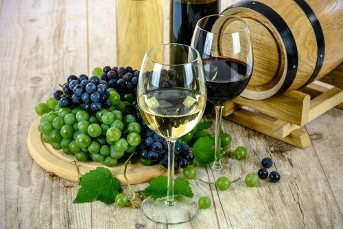 Cantina Salon: L’eccellenza nella produzione dei vini