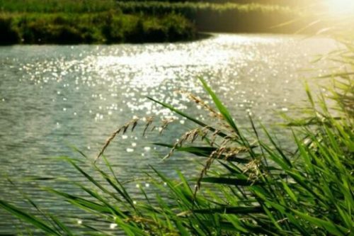 Fiume della Calabria: qual è il più lungo? Che caratteristiche ha e dove sfocia?