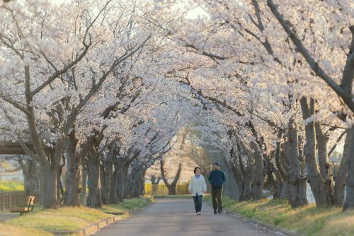 Camminare 30 minuti al giorno migliora la salute mentale: i benefici confermati dagli studi scientifici